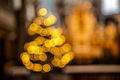 Stephan Schönlaub - Erzdiözese Wien