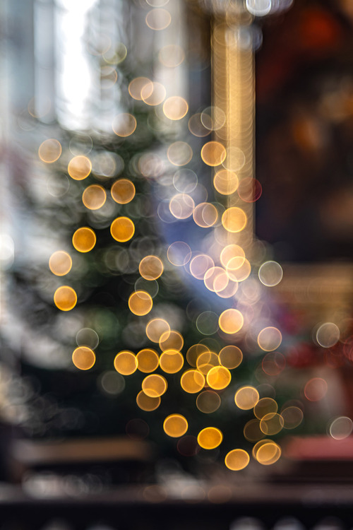 Weihnachtsbaum / Erzdiözese Wien/ Schönlaub Weihnachten in der Kirche Am Hof