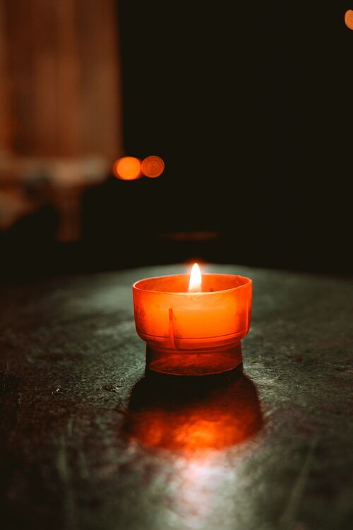 bea_vallejo@unsplash